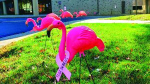 Pink, plastic lawn flamingo adorned with a breast cancer ribbon in honor of Tina Dobins
